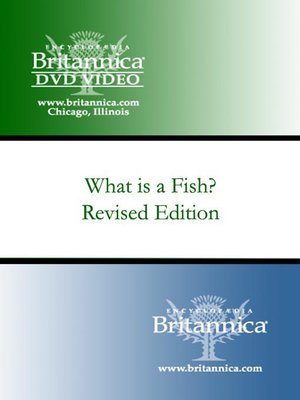 cover image of What is a Fish?